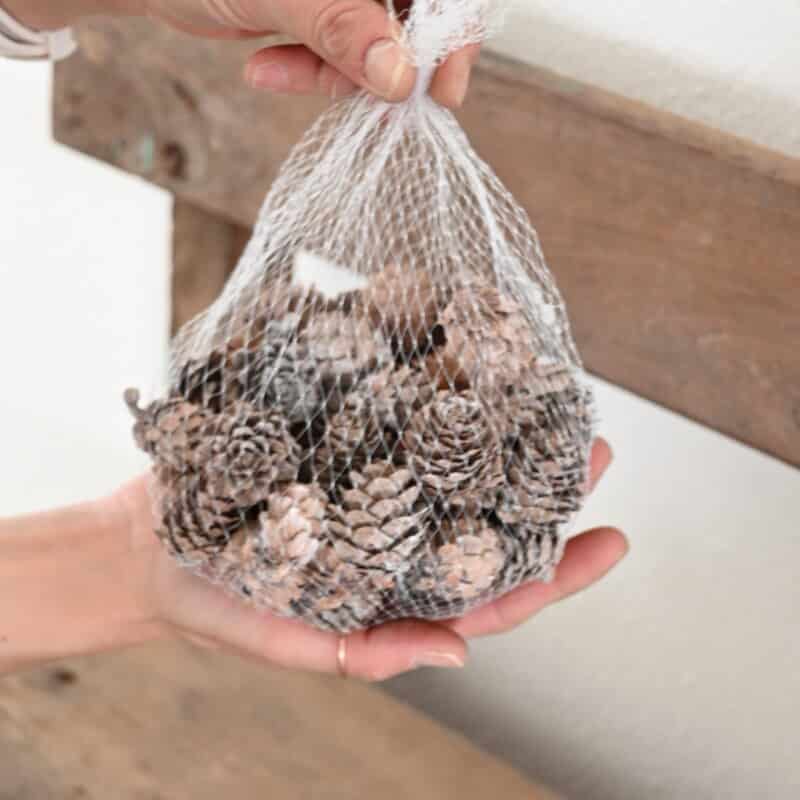 kleine Tannenzäpfli für die Dekoration