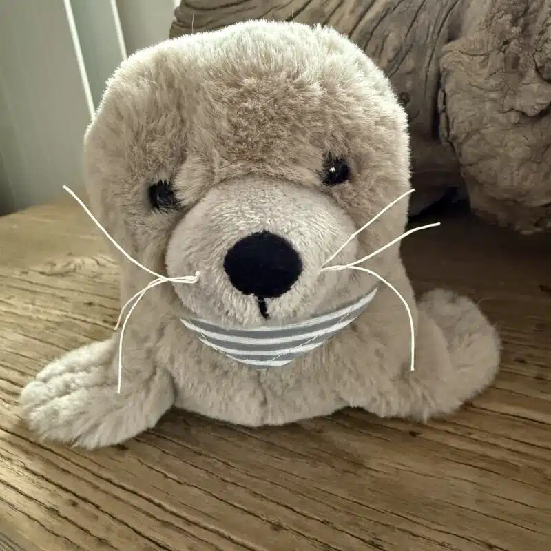 Robby von der Nordsee (Plüschtier)