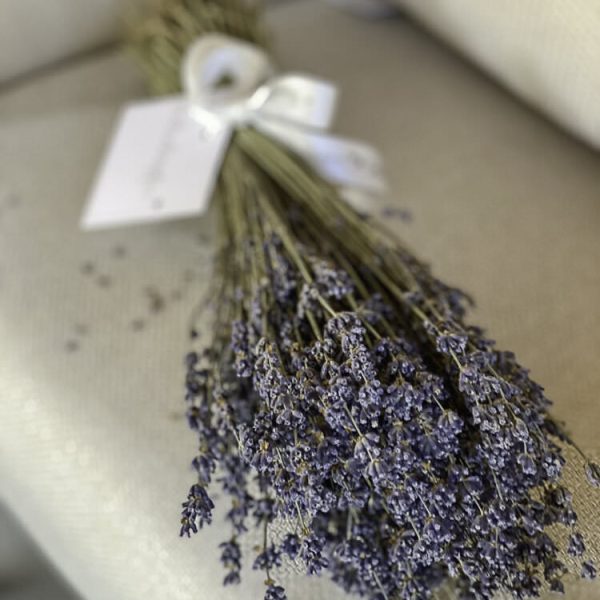 onlineshop-12
